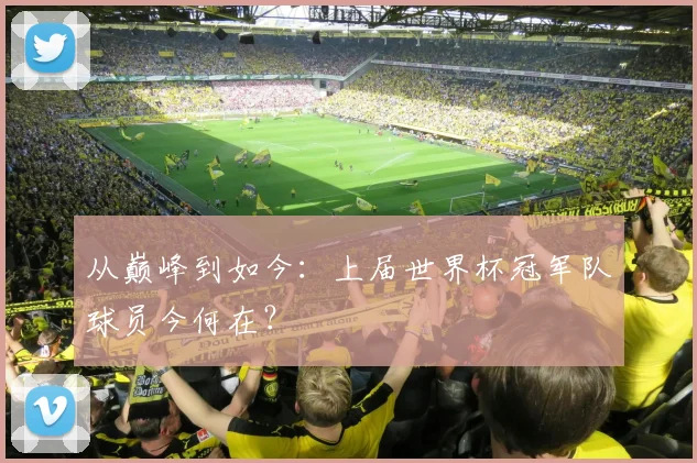 从巅峰到如今：上届世界杯冠军队球员今何在？