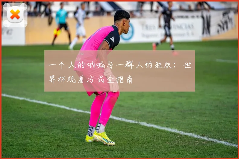 一个人的呐喊与一群人的狂欢：世界杯观看方式全指南