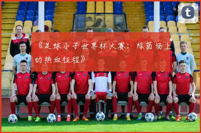 《足球小子世界杯大赛：绿茵场上的热血征程》