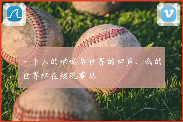 一个人的呐喊与世界的回声：我的世界杯在线观赛记