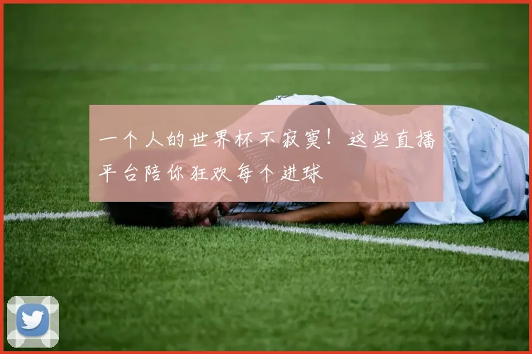 一个人的世界杯不寂寞！这些直播平台陪你狂欢每个进球
