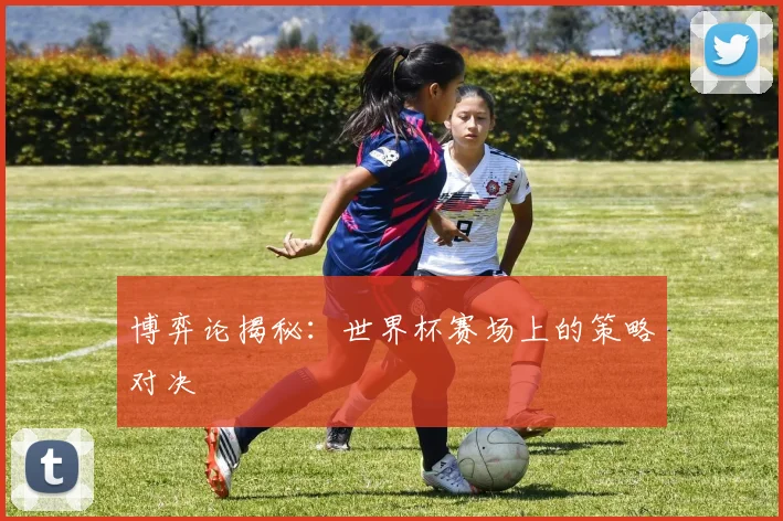博弈论揭秘:世界杯赛场上的策略对决
