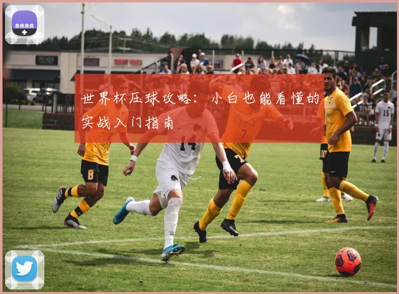 世界杯压球攻略：小白也能看懂的实战入门指南