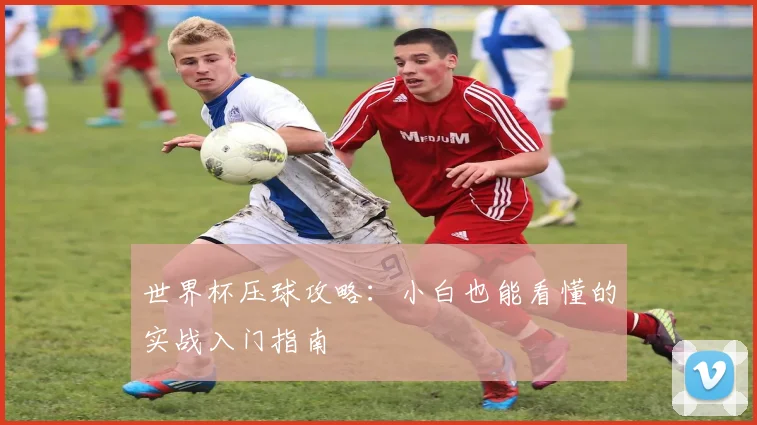世界杯压球攻略：小白也能看懂的实战入门指南