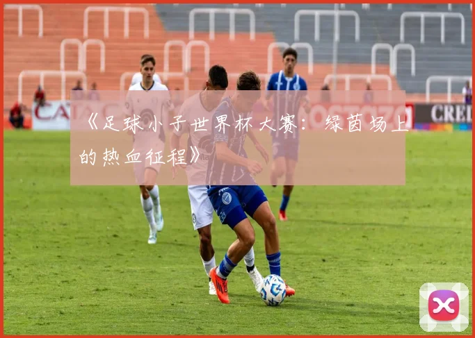 《足球小子世界杯大赛：绿茵场上的热血征程》